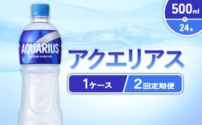 【2回定期便】アクエリアス 500ml PET × 24本 1ケース 毎月 2回 AQUARIUS スポーツドリンク スポーツ飲料 ペットボトル 熱中症対策 水分補給 コカ・コーラ Coca-Cola 運動 送料無料