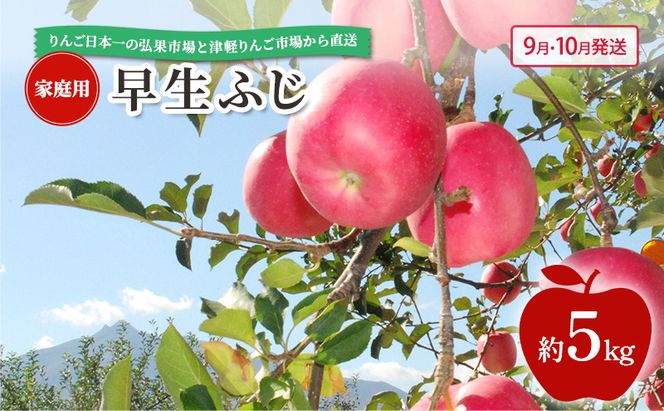 【 9月・10月発送 】 家庭用 早生ふじ 約 5kg 【 青森県鶴田町産 りんご 青森りんご 】果物類 フルーツ 林檎 リンゴ 鶴田町 青森県 おやつ デザート