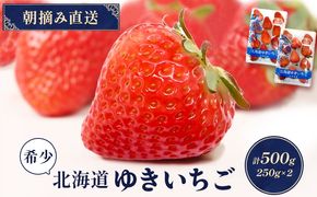 【受注後、随時発送！】【北海道産】ゆきいちご（紅ほっぺor恋みのり） ２Pセット 各250g×２ 計500g【59005】
