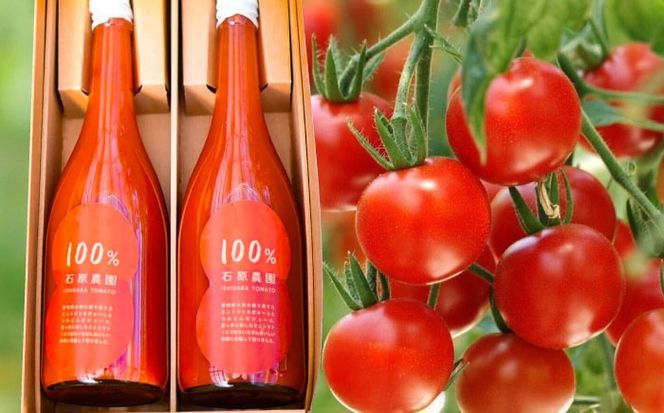 【先行予約】  100％ トマトジュース 720ml×2本 トマト ジュース 健康 愛西市 / 株式会社石原農園[AEBG002]