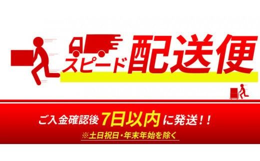 【7日以内に発送！】【プレゼント・ギフト】令和6年産 木城町・毛呂山町 新しき村友情都市コラボ 日本酒 純米吟醸「城 ～不落の城」2本 K21_0043