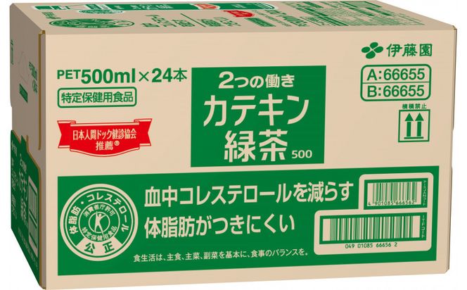 【定期便3ヶ月】2つの働きカテキン緑茶500ml×24本セット【特定保健用食品】 222232_AT074
