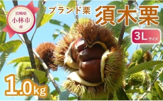 y{茧юszyԁEʌzuhIu{،Iv3LTCY 1kgxiI } I ʕ t[c  H {j