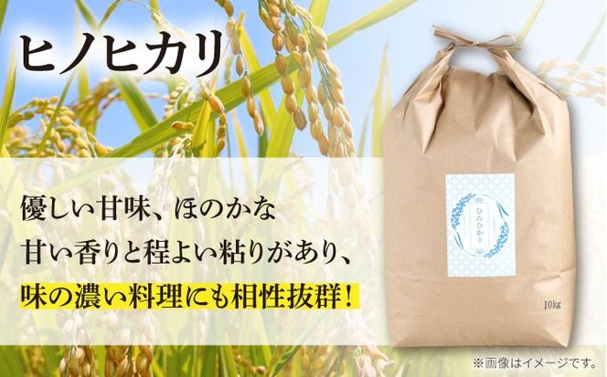 【南島原市産ヒノヒカリ】10kg / 米 ヒノヒカリ / 南島原市 / 林田米穀店 [SCO001] 