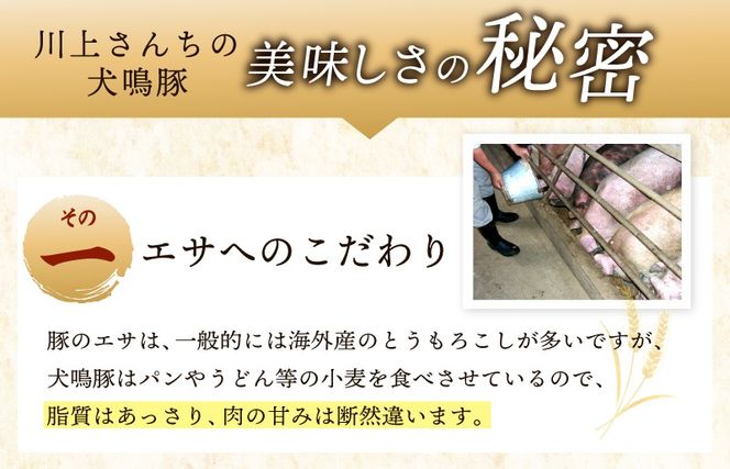G5374 犬鳴豚の小間切り落とし 1.4kg（約350g×4パック） 犬鳴豚餃子6個 セット【国産 豚肉 泉佐野ブランド豚 犬鳴ポーク 普段使い】