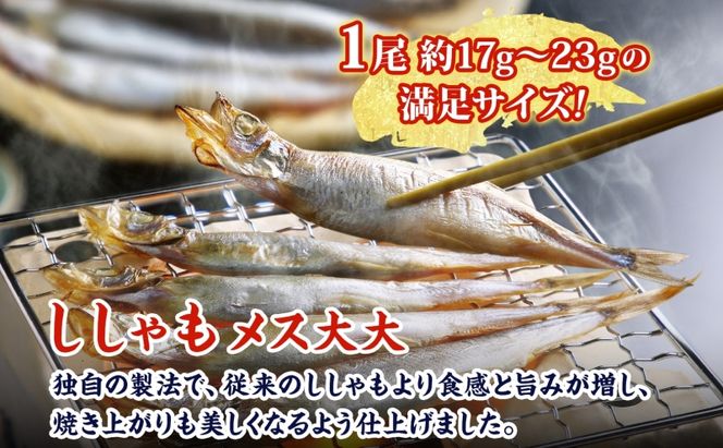 北海道産ししゃもメス大大30尾 北海道 稀少 魚シシャモ メス おつまみ 魚貝類 干物 本物 人気 希少 塩 味付け 脂のり 旨み 美味しい 大きい 