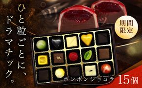【2026年2月～発送】ボンボンショコラ 15個入り / チョコ チョコレート お菓子 バレンタイン / 南島原市 / 本田屋かすてら本舗 [SAW033]