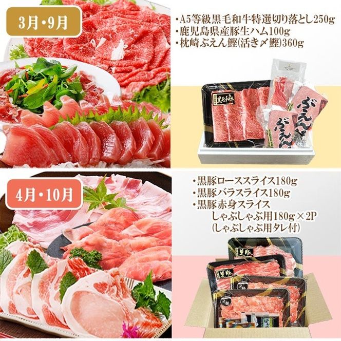 定期便(6回)A5等級黒毛和牛・黒豚・かつお・まぐろ FF-0058 【1166770】