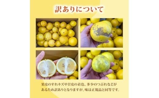 【先行受付】 訳あり 小夏 5kg 家庭用 フルーツ 果物 みかん 期間限定 季節限定 旬 柑橘 自宅用 ご家庭用 訳アリ こなつ 日向夏 ニューサマーオレンジ オレンジ デザート スイーツ アレンジ ゼリー ジャム ケーキ メリーガーデン 高知県産 高知県安芸市 柑橘類 初夏 甘酸っぱい 爽やか 32玉 3月下旬 8月中旬 お届け予定 ワケあり品 高知特産 国産フルーツ 安芸市 高知県