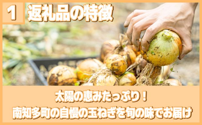 【2027年先行予約 容量選べる】 訳あり 玉ねぎ 3～10kg (1箱)  【5月以降発送】 野菜 オニオン 甘い 玉葱 肉じゃが ハンバーグ 家庭用 大きさ不揃い たまねぎ