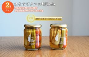 005A716 【圧倒的企業努力】水なすピクルス和風MIX 2本セット NSW 