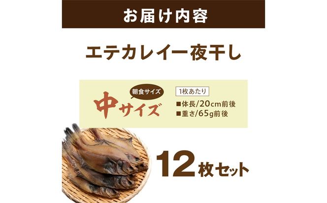 【店主一押し！絶品干物！高リピート！】エテカレイ一夜干し　中サイズ（朝食サイズ）12枚　YK00152