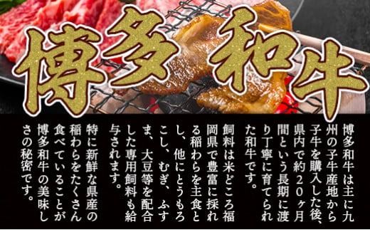 訳あり 【A4～A5】博多和牛 焼肉 切り落とし 肩ロース バラ 500g [MEAT PLUS 福岡県 宇美町 um40azp010029] 牛肉 肉 和牛 肩肉 バラ肉 焼き肉