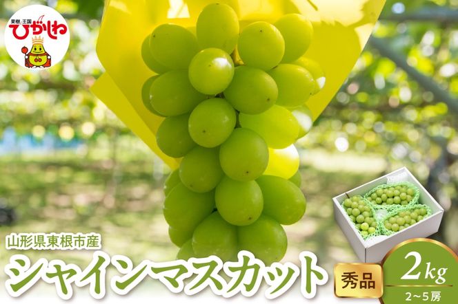 2025年産 シャインマスカット 2kg（2-5房） 秀品 山形県 東根市　hi082-025-2