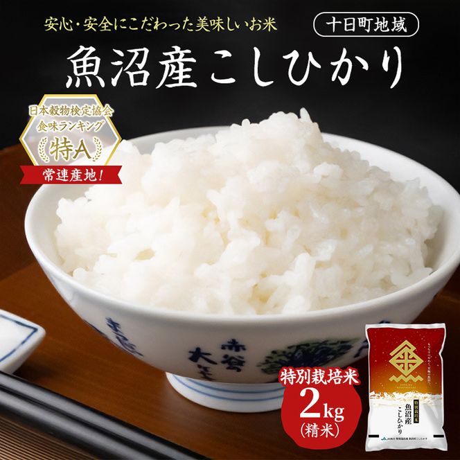 特別栽培米 魚沼産こしひかり(十日町地域) 精米 2kg 米 お米 コシヒカリ 十日町市
