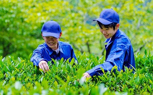阿木高校ジャム4個セット (ブルーベリージャム・ウメジャム・完熟ウメジャム・お茶ジャム各1個) ブルーベリージャム ブルーベリー 梅ジャム ジャム 加工品 食品 F4N-2483