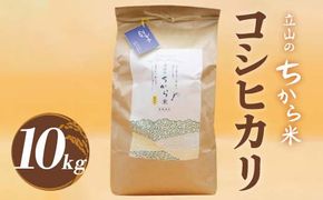 立山のちから米 令和7年産 コシヒカリ 10kg こしひかり 銘柄米 ブランド米 国産 米 お米 日本米 ギフト 贈り物 備蓄 防災 食品 F6T-914