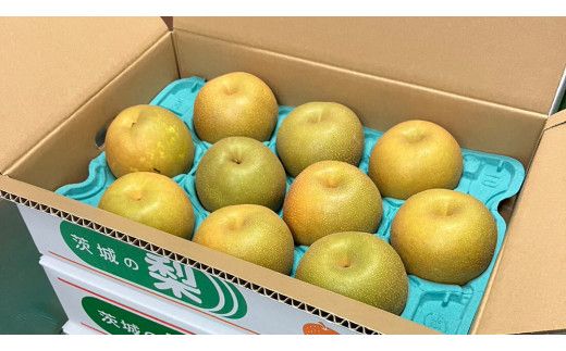 【 2026年8月上旬発送開始 】 茨城県産 梨 幸水 （約 5kg ） 10～14玉  梨 なし 和梨 日本梨 果物 フルーツ 新鮮 旬 期間限定 国産 先行予約[CL001us]