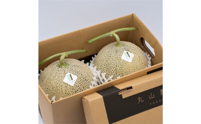 【 2026年6～8月発送】 先行受付 北海道 富良野産 赤肉 つやべに メロン 2玉 箱 4kg以上 大玉 (ふらの 丸山農園) メロン フルーツ 果物 新鮮 甘い 贈り物 ギフト 道産 ジューシー おやつ ふらの ブランド 夏 