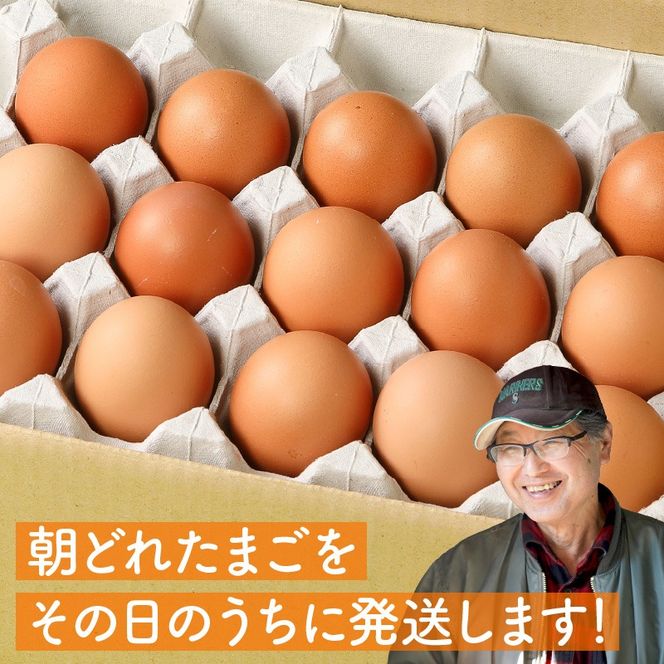 延岡産もみじ玉子80個 N033-YZA234