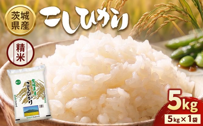 令和7年産】茨城コシヒカリ 5kg×1袋【精米】 | お米 米 こしひかり