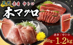 天然本まぐろ 赤身 中トロ 切落し お手軽 ちょこっとパック 合計360g 食べきりサイズ 切り落とし お刺身 魚介類 海鮮 小分け 魚 海産物 魚貝 マグロ 父の日 高知県 簡単解凍 簡単調理 惣菜 冷凍