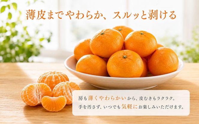 赤秀品　紀州和歌山ハウスみかん2.5kg【予約】※2027年6月末頃〜7月中旬頃に順次発送予定(お届け日指定不可)【uot735B】