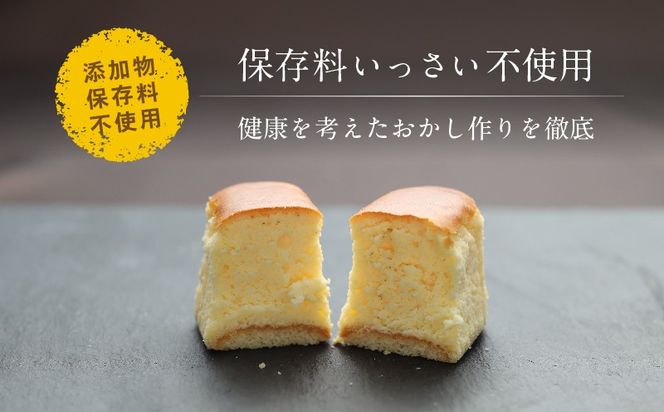 AP014　半熟チーズケーキ１箱・半熟ショコラ1箱（各１０個入り）