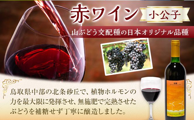 ３１０農園・日本ワイン（小公子/赤ワイン）750ml 313726_CA002