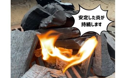 みんなでつくる着火剤（３本入り）３０袋