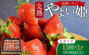 【終了】＜高級いちご「やよい姫」（15粒×1パック 約380g以上）＞2025年1月下旬～4月末迄に順次出荷【a0328_sn】