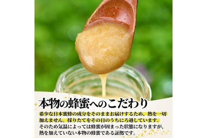 ＜期間限定・数量限定＞幻の蜂蜜（1本・260g）ハチミツ 蜂蜜 日本蜜蜂 ハニー 国産 日本ミツバチ 非加熱 純粋【YH-1】【安田蜂蜜】