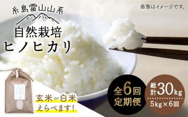 【 全6回 定期便 】自然栽培 ヒノヒカリ 5kg《糸島》【大石ファーム】 [ATE018]