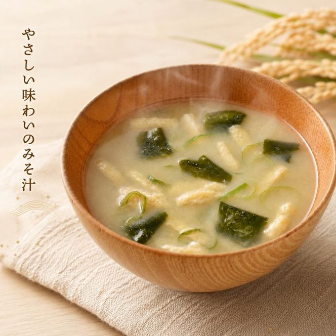 フリーズドライ 柳屋本店 だしいただきます みそ汁 10食入×2箱 計20食分 味噌汁