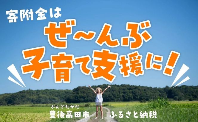 ふるさと納税で子育て支援！(返礼品なし・賛同型寄付）1,500円 【子育て支援限定使い道】大分県豊後高田市