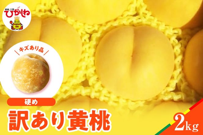 �y�R�`�������s�z�y2026�N�Y�z���� �i�킨�܂��� �󂠂�2kg(�d��)���I�� �R�`�� �����s hi062-063