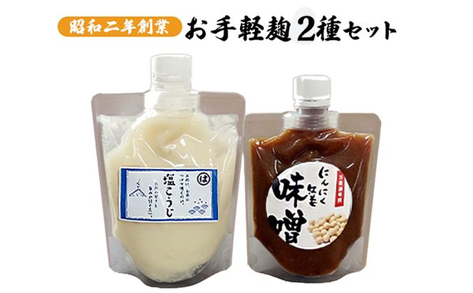 麹 調味料 お手軽麹2種セット にんにく生姜みそ＆塩こうじ 各2個 調味料セット 味付け 料理 調理 発酵食品 