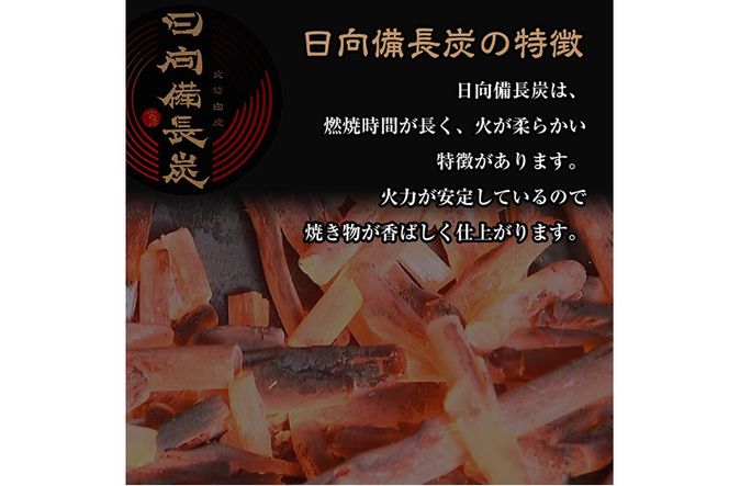 ＜訳あり＞ 日向備長炭(5kg) アウトドア キャンプ用品 BBQ バーベキュー 木炭 国産【IK-4】【池田製炭所】