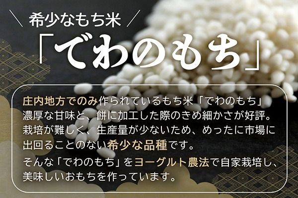 【R9.2月発送】庄内町産 杵つき餅 380g×36袋 約13kg『特別栽培米 でわのもち』使用 先行受付 柔らかく よく伸びる 個包装 小さめ 自家栽培 でわのもち ヨーグルト農法 杵つき 丸もち お餅 丸餅 餅 梅木もち屋