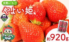 【 先行予約 ：2027年1月～4月配送】 やよい姫 約920g 230g×4パック いちご 完熟 苺 産地 直送 フレッシュ イチゴ 贈答 フルーツ 果物 国産 静岡 期間限定 数量限定 苺 イチゴ 旬 フルーツ 果物 くだもの 春 静岡県 藤枝市