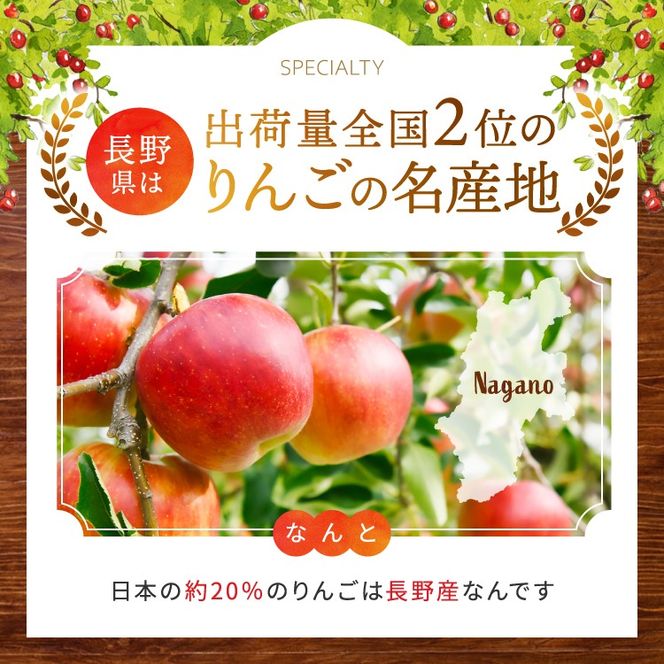 りんご シナノゴールド 令和8年11月上旬発送 信州のシナノゴールド 約5キロ 信濃三兄弟の一つ（りんご・リンゴ・林檎） 伊那市 長野県 信州【018-37】