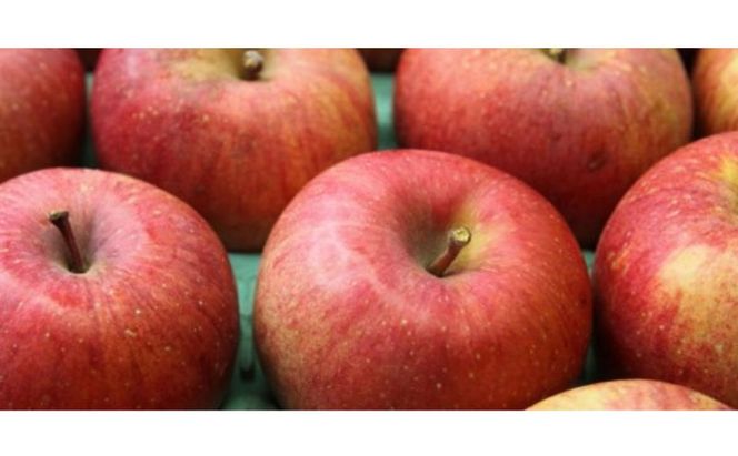 りんご サンフジ5kg スマートフレッシュ加工