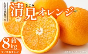 V7414_清見オレンジ[約8kg]和歌山県有田産 春みかん (果実サイズおまかせ) 春みかん 紀伊国屋文左衛門本舗 ※日時指定不可