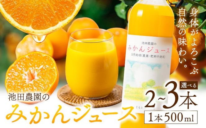 池田農園のみかんジュース 2本 または 3本 1本500ml 池田農園《30日以内に出荷予定(土日祝除く)》熊本県 玉名郡 玉東町 みかんジュース みかん ミカン ジュース 自然栽培 栽培期間中農薬・肥料不使用---gkt_ikd_2_2h---