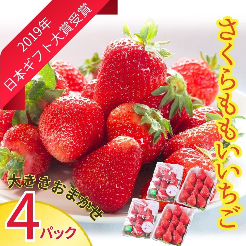 [CF]さくらももいちご (4パック入り) [1月上旬-3月末頃に出荷予定] [配送不可地域あり]※離島への配送不可---sanagouchi_hss_6_4p---