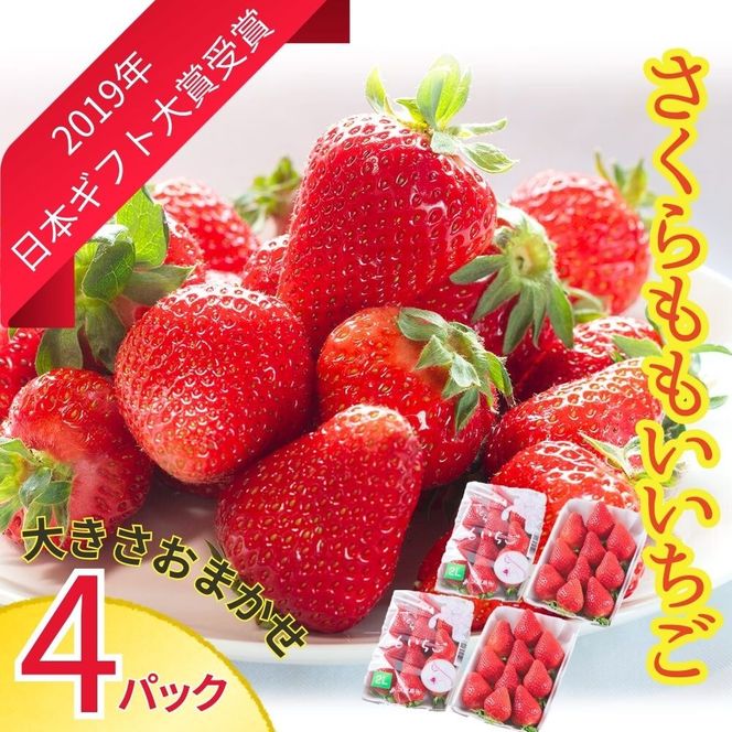 さくらももいちご (4パック入り) 　※2025年1月上旬頃から発送　※北海道・沖縄・離島への配送不可