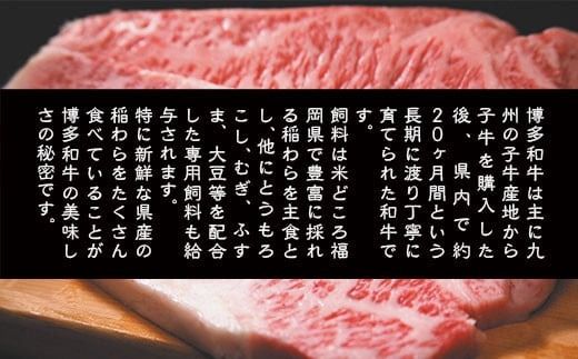 博多和牛 サーロイン ステーキ 250g 1枚 [MEAT PLUS 福岡県 宇美町 um40azp010008] 牛肉 サーロインステーキ 肉 和牛 