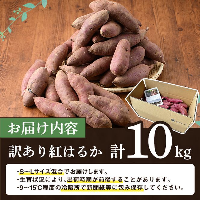訳あり！鹿児島県産さつまいも「紅はるか」(計10kg) 大容量 国産 熟成