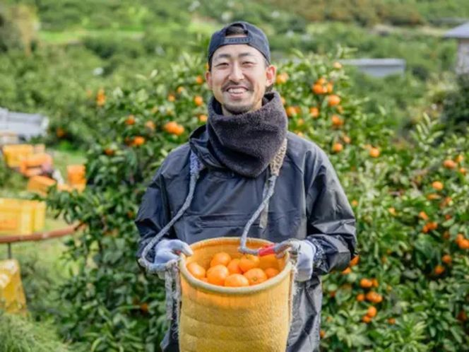 手が止まらない 訳あり 有田みかん 約5kg 大きさ無選別（2S〜3L） 糖度11度以上 鳴川農園 FD02