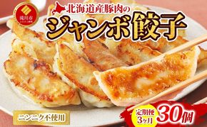 【 ふるさと納税 】3ヶ月定期便 楽楽食品 北海道産豚肉のジャンボ餃子 35g×30個 餃子 中華 中華料理 焼き餃子 水餃子 揚げ餃子 餃子鍋 活用 アレンジ おかず 焼くだけ簡単 簡単調理 フライパン調理 北海道産 国産豚 豚肉 豚餃子 お取り寄せ ご当地 送料無料 北海道 滝川市